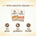 Merrick Grain-Free Salmon & Sweet Potato Dog Food