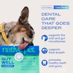 Native Pet GutWell Fresh Breath Dog Powder 60 Scoops