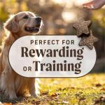 Merrick Power Bites Salmon Grain-Free Dog Treats