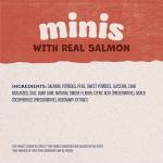 Natural Balance Salmon Grain-Free Training Treats for Dogs