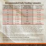 Merrick Grain-Free Beef and Sweet Potato Dog Food