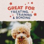 Natural Balance Salmon Grain-Free Training Treats for Dogs