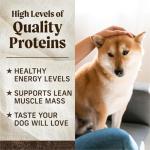 Merrick Grain-Free Beef and Sweet Potato Dog Food