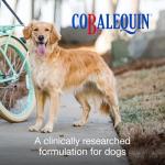 Nutramax Cobalequin B12 Chewable Tablets for Dogs