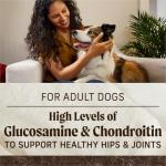 Merrick Grain-Free Beef and Sweet Potato Dog Food