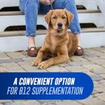 Nutramax Cobalequin B12 Chewable Tablets for Dogs
