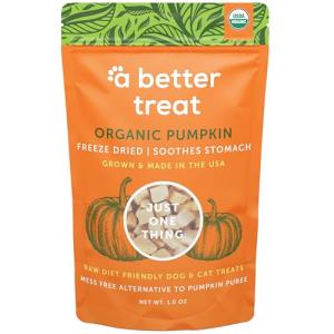 Freeze-Dried Organic Pumpkin Treats for Dogs & Cats