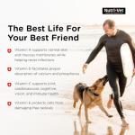 Nutri-Vet Senior-Vite Multivitamin for Dogs