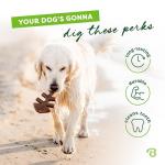 Benebone Fishbone Chew Toy for Aggressive Chewers