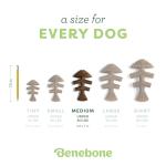 Benebone Fishbone Chew Toy for Aggressive Chewers