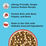 BIXBI Liberty Beef Freeze-Dried Dog Food Topper