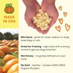 Freeze-Dried Organic Pumpkin Treats for Dogs & Cats