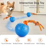 Touch Activated Interactive Dog Ball Toy
