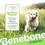 Benebone Fishbone Chew Toy for Aggressive Chewers