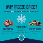 Stewart Freeze-Dried Beef Liver Dog Treats, 4 oz