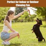 Durable Bam-Bones Chew Toy for Aggressive Dogs