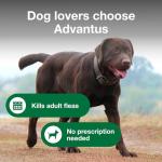 Advantus Fast Acting Flea Soft Chews for Dogs