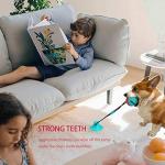 Durable Dog Chew Toys for Pups and Aggressive Chewers