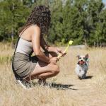 Chuckit! 14-Inch Ball Launcher for Small Dogs