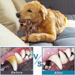 Indestructible Dog Chew Toys for Aggressive Chewers