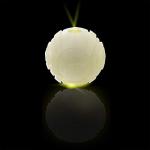 2.5in LED Glow Ball for Dogs