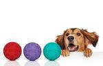 Durable Rubber Dog Balls - 3 Pack for Small Dogs
