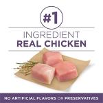 Purina ONE High Protein Senior Dog Food 31.1 lb