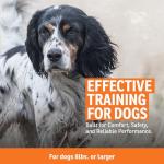 SportDOG 425XS Remote Trainer for Stubborn Dogs