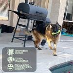 18 Pack Cute Plush Dog Squeaky Toys