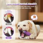 Indestructible Chew Toy for Aggressive Dogs