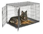 Double Door Folding Metal Dog Crate, 48-Inch