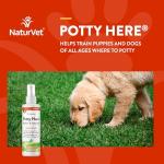 NaturVet Potty Here Training Aid Spray, 8 oz