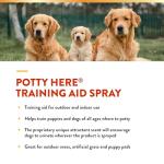 NaturVet Potty Here Training Aid Spray - 32 oz