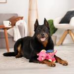 goDog Large Coral Bubble Plush Dragon Toy