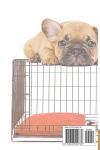 Fun Puppy Crate Training Guide for Beginners