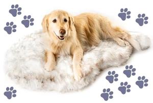Paw Brands Orthopedic Dog Bed for Large Dogs