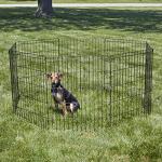 Folding Metal Dog Exercise Pen - 16 Sq Ft