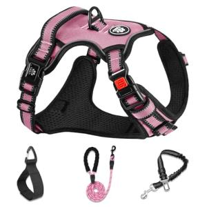 No Pull Adjustable Dog Harness with Leash - Pink