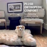 Paw Brands Orthopedic Dog Bed for Large Dogs