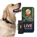 PAJ GPS Dog Tracker with Real-Time Alerts