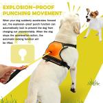 No Pull Dog Harness with Retractable Leash