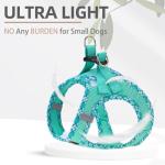 PUPTECK No Pull Dog Harness & Leash Set