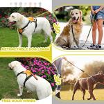 No Pull Dog Harness with Retractable Leash