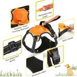 No Pull Dog Harness with Retractable Leash