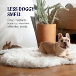 Paw Brands Orthopedic Dog Bed for Large Dogs