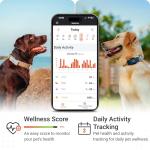 PAJ GPS Dog Tracker with Real-Time Alerts