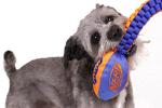 Nerf Dog Vortex Chain Tug Toy with Squeaker