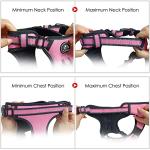 No Pull Adjustable Dog Harness with Leash - Pink
