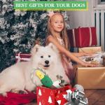 Upgraded Duck Dog Toy for Aggressive Chewers