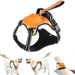No Pull Dog Harness with Retractable Leash